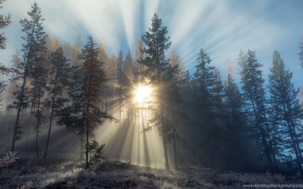 Mac Wallpapers Retina 1618637