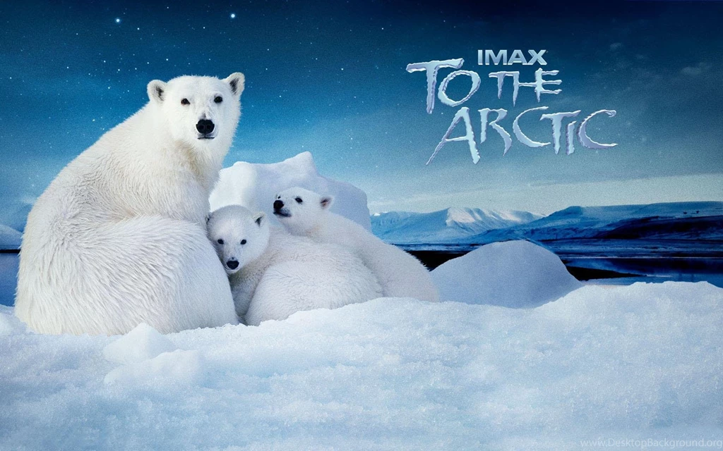 Go To The North Pole Widescreen Hd Wallpapers 1680x1050 Widescreen ...