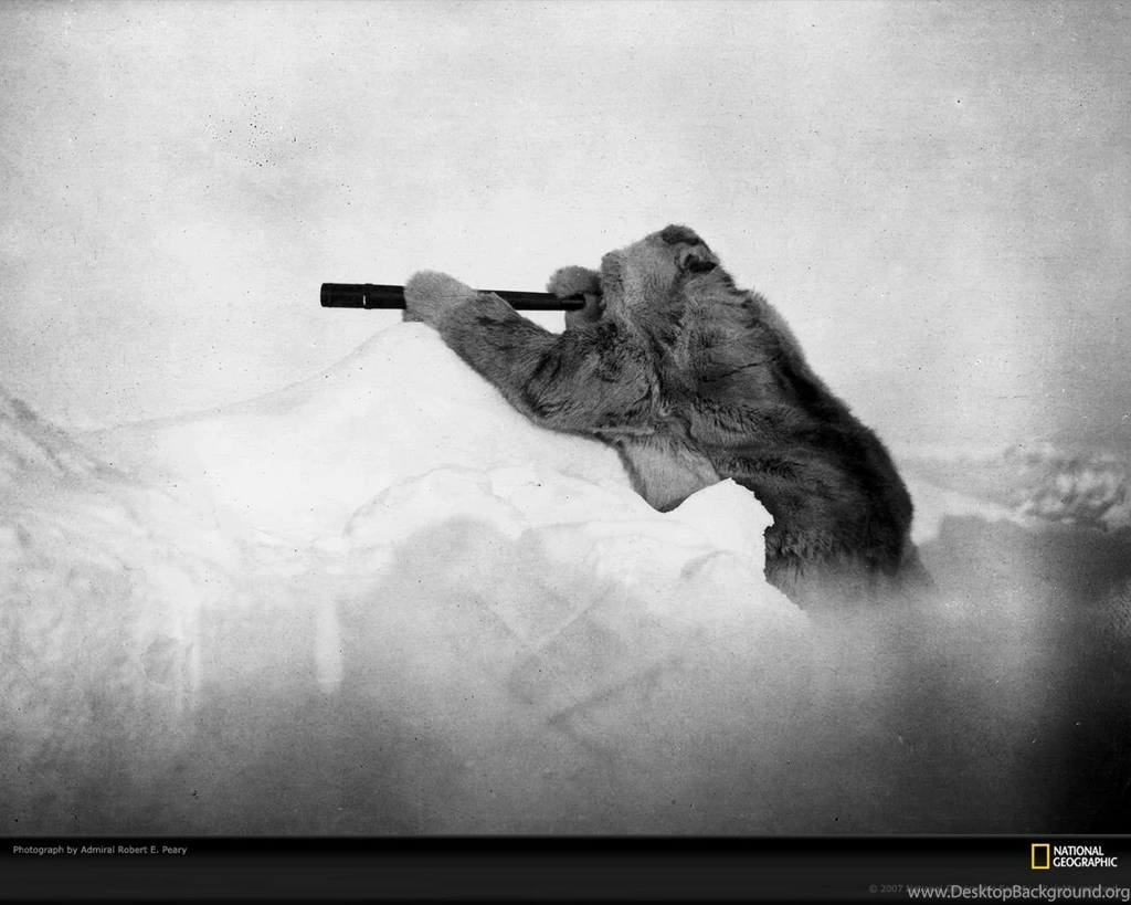 10862_1280x1024 wallpaper cb1376947389.jpg