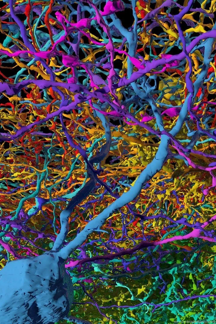 Samsung Galaxy s3 background candyneurons.jpg