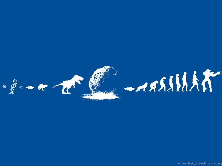 Halo Evolution Jokes / 1024x768 Wallpapers