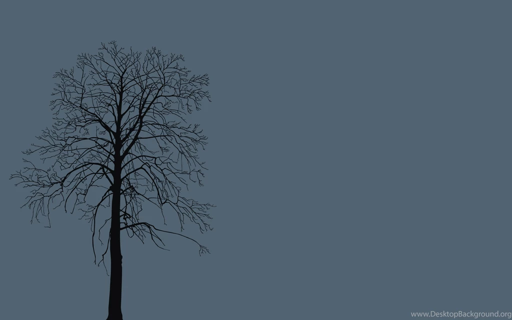 Tree (2560x1600) : Wallpapers