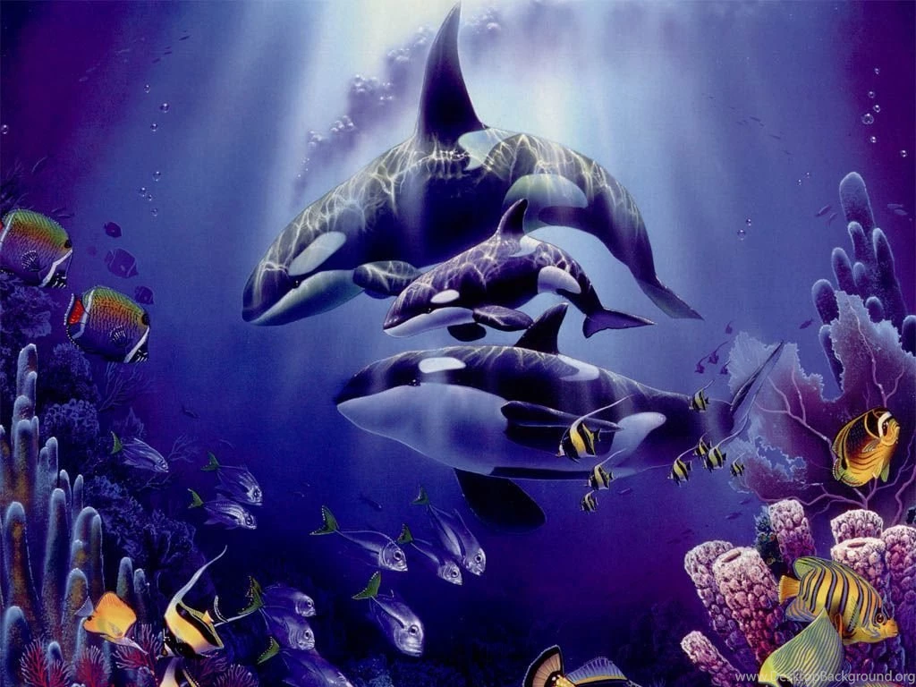 Pic New Posts: Wallpapers Whales