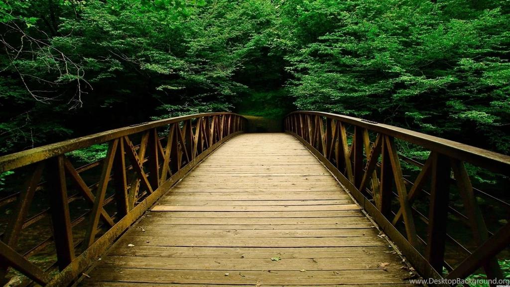 Forests_photography_backgrounds.jpg