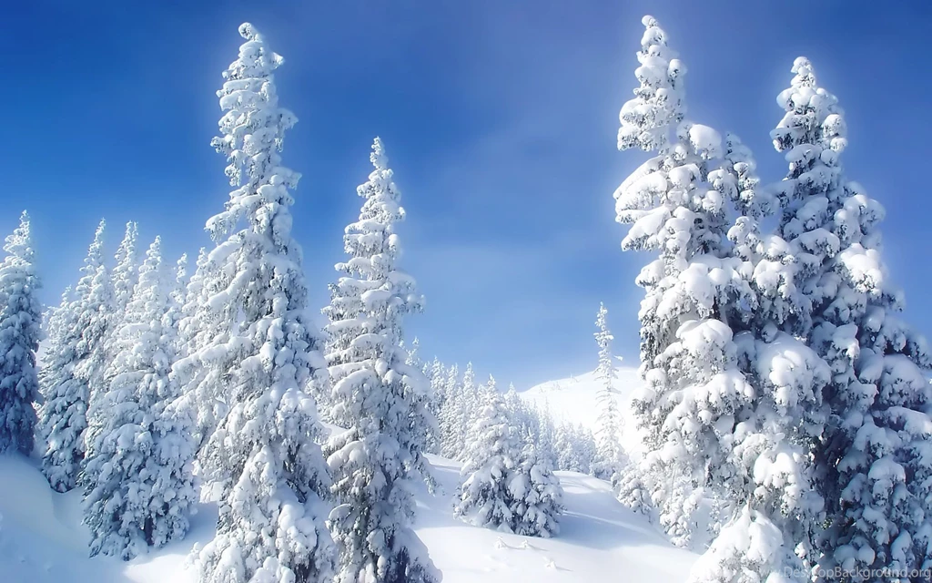 Winter HD Wallpapers