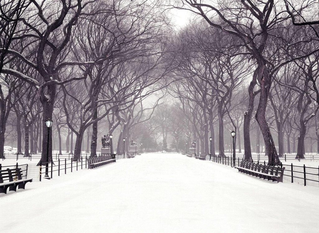 Snow Wallpapers High Quality Wallpapers