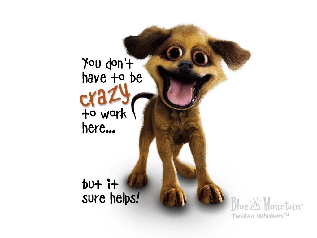 Desktop Wallpaper, Crasy Doggy
