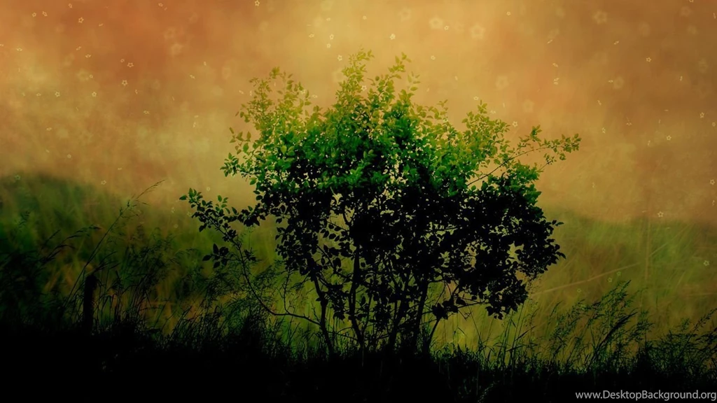 Wallpapers Pictures Photos: 720p Bandwidth Pictures
