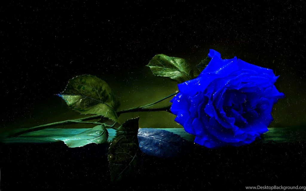 Blue Rose Desktop Wallpaper, Blue Rose Images Free