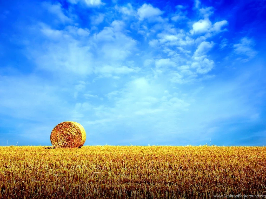 1600x1200 Summer Hay Field Desktop PC And Mac Wallpapers
