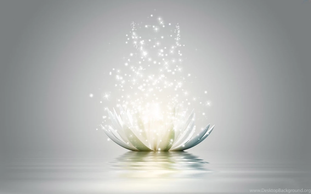 Lotus Flower 3d Hd Wallpapers Wallpaperss HD
