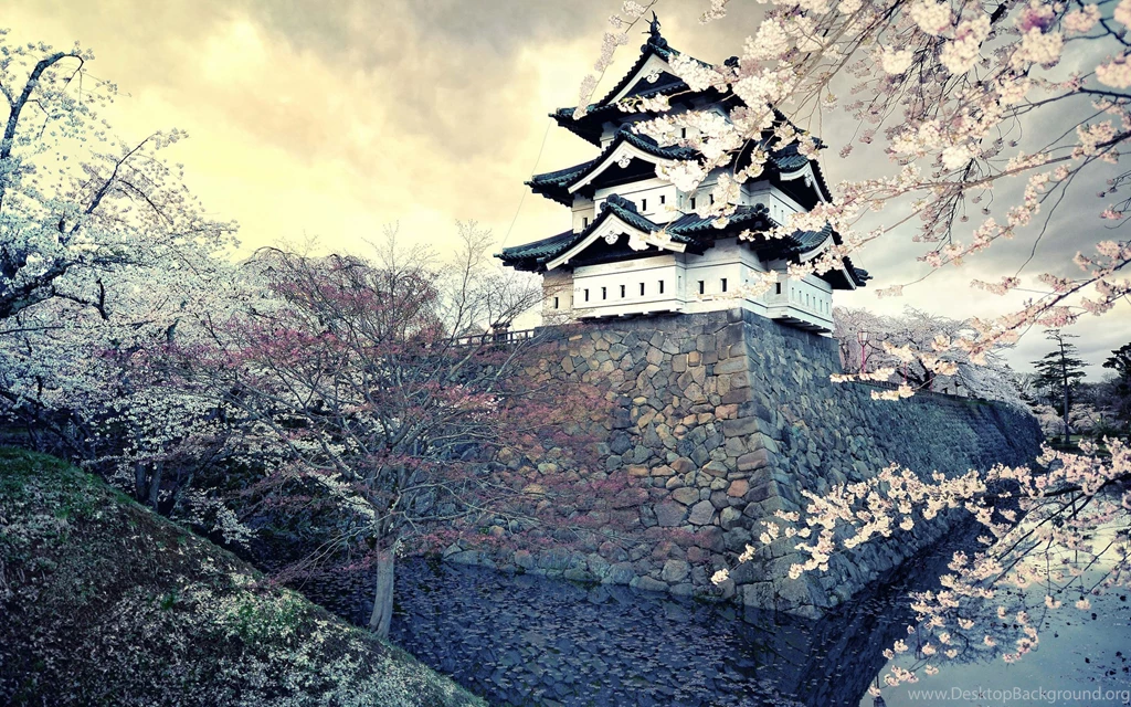 Download Japan Sakura Wallpapers Phone