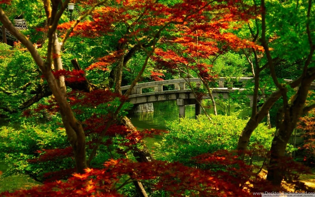 Japanese Garden (Kyoto) HD Desktop Wallpapers : Widescreen : High ...