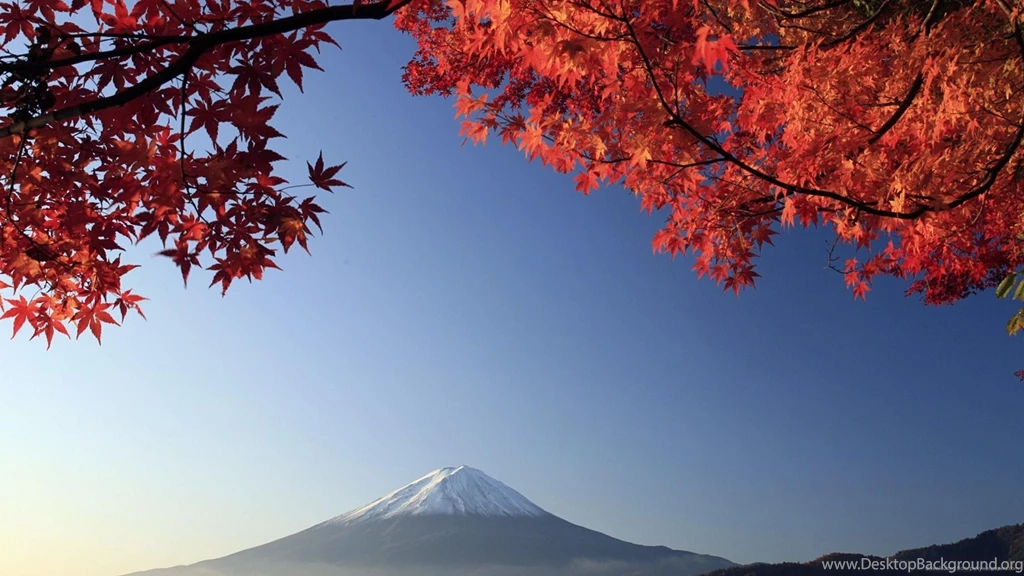 Download 2560x1440 Japanese Fuji Mountain Wallpapers