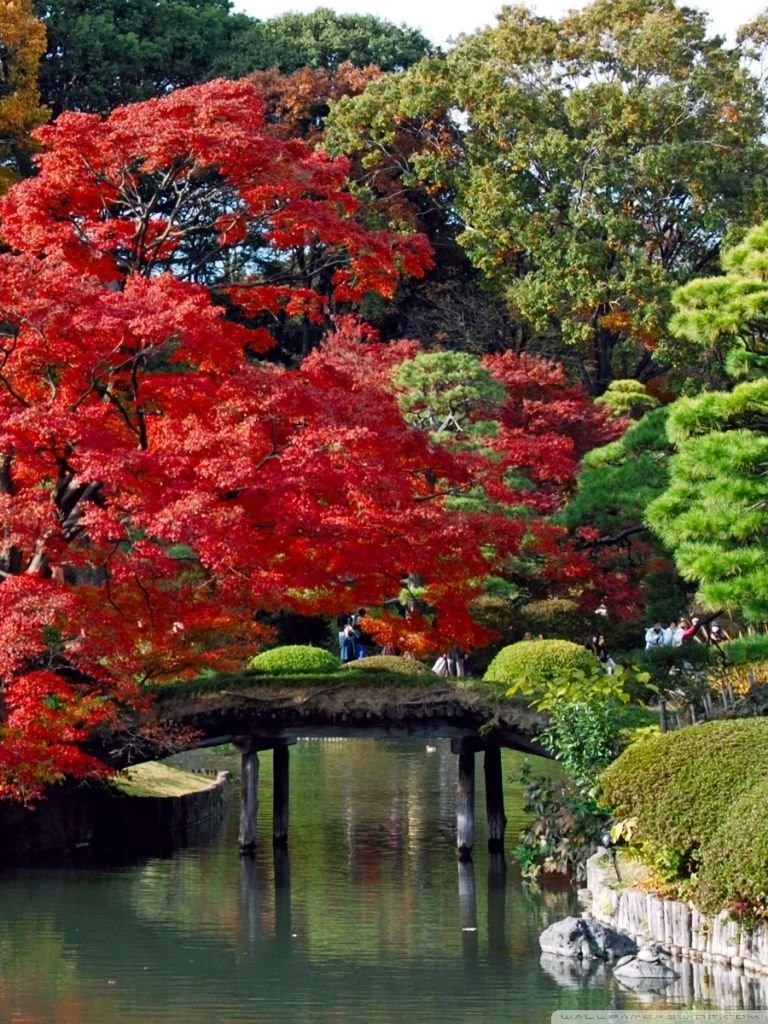 Autumn, Japan HD Desktop Wallpapers : High Definition : Fullscreen ...