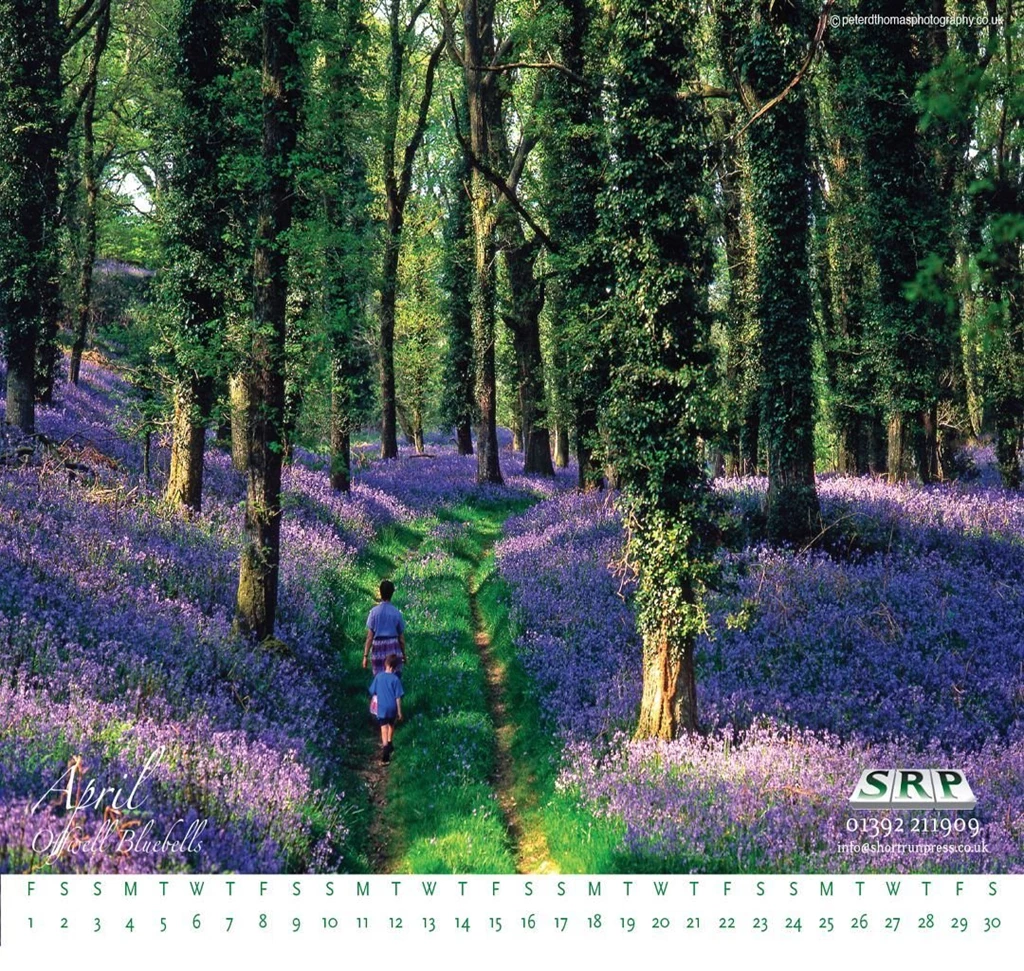 April_Wallpaper_1080x1024.jpg