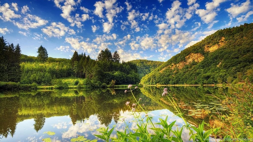 File:Landscape Wallpapers 04 1920x1080.jpg Wikimedia Commons