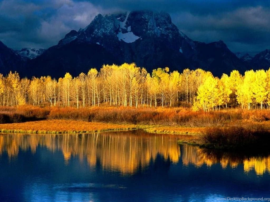 30 Cool Nature Wallpapers