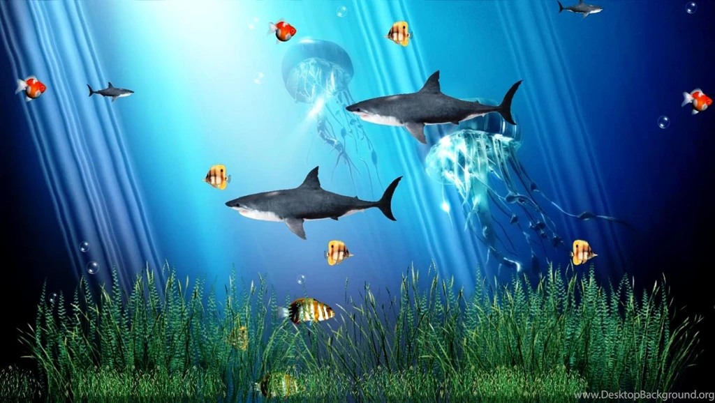Free Aquarium Backgrounds Cool Aquarium Animated Photos Of ...