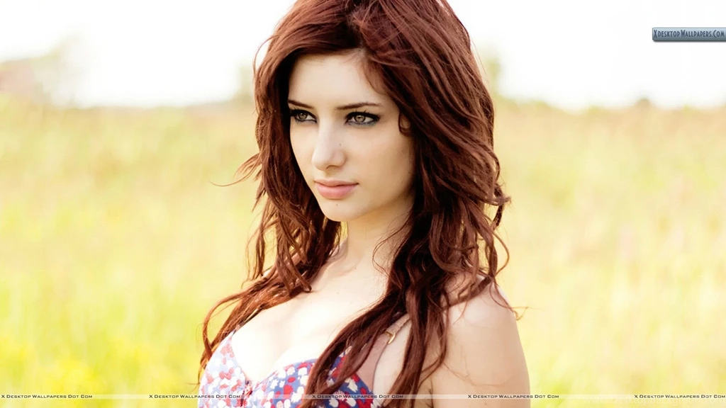 Susan Coffey Wallpapers