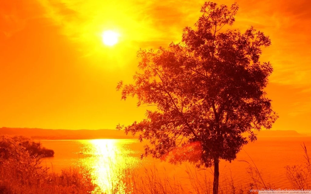 Sun In The Sky HD Desktop Wallpapers : Widescreen : High Definition ...