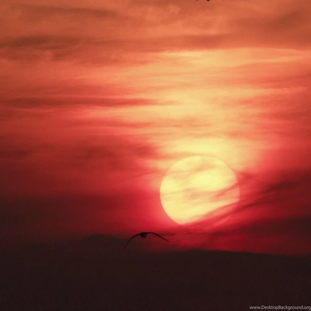 Journey To The Sun iPad Wallpapers Download