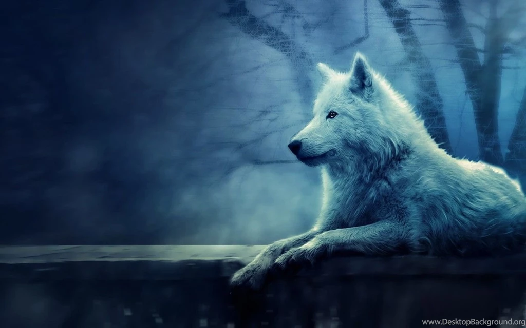 Www.intrawallpaper.com Wallpapers 48 Page 1