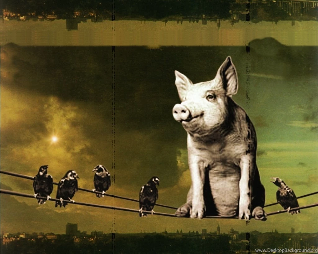 Pink Floyd [46 Wallpapers Alucinantes]   Taringa!