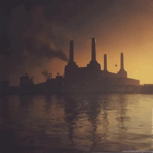 Pink Floyd Animals By Smooothe On DeviantArt