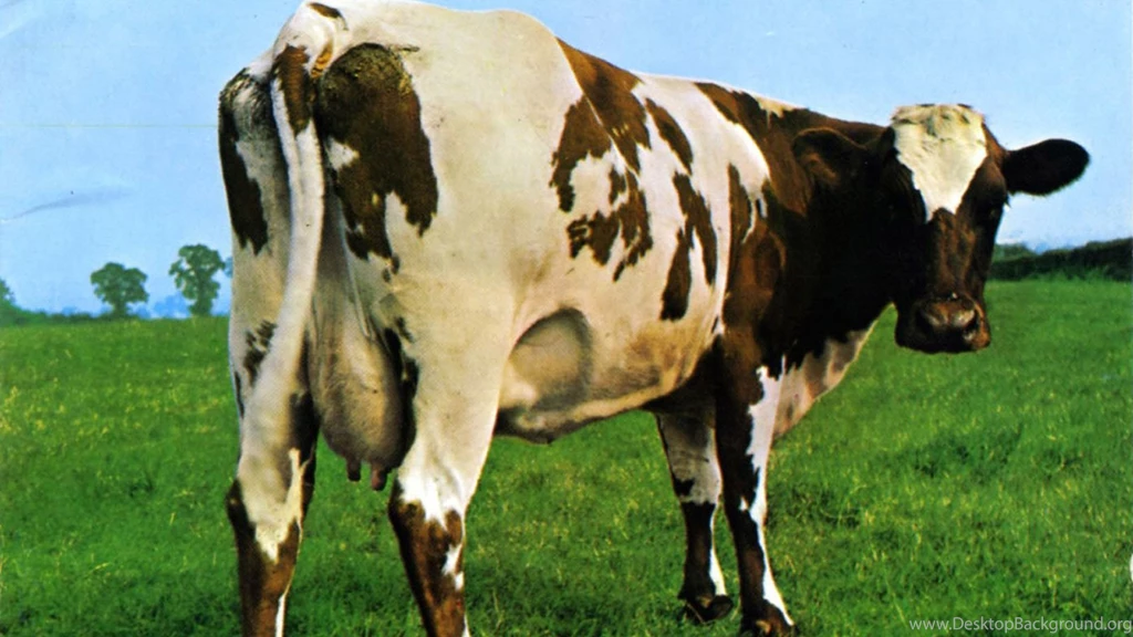 Pink Floyd Album 1920x1080 Wallpapers, 1920x1080 Wallpapers ...