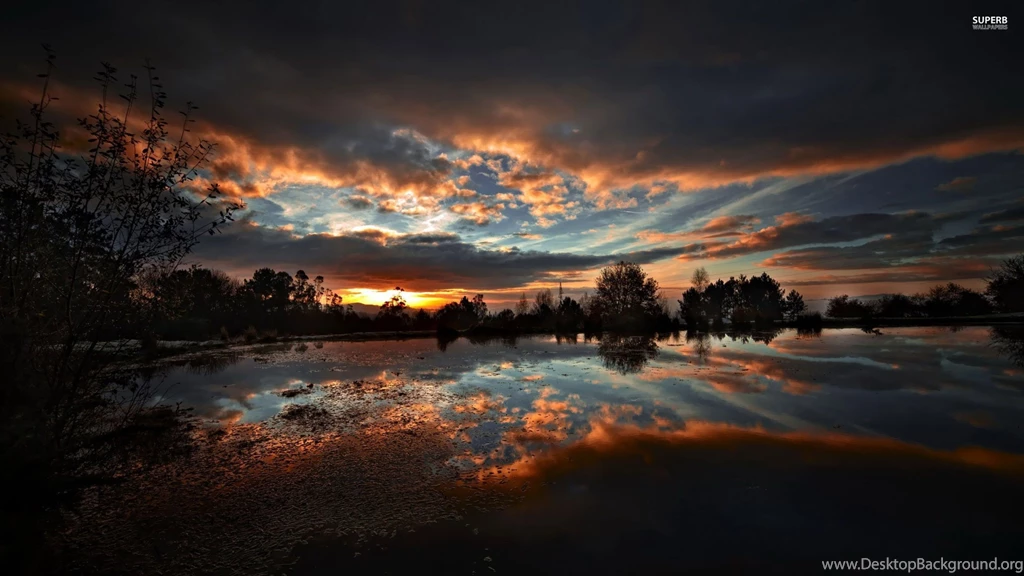 Abstract Nature Wallpapers Digital Art Wallpapers 2560x1440PX ...