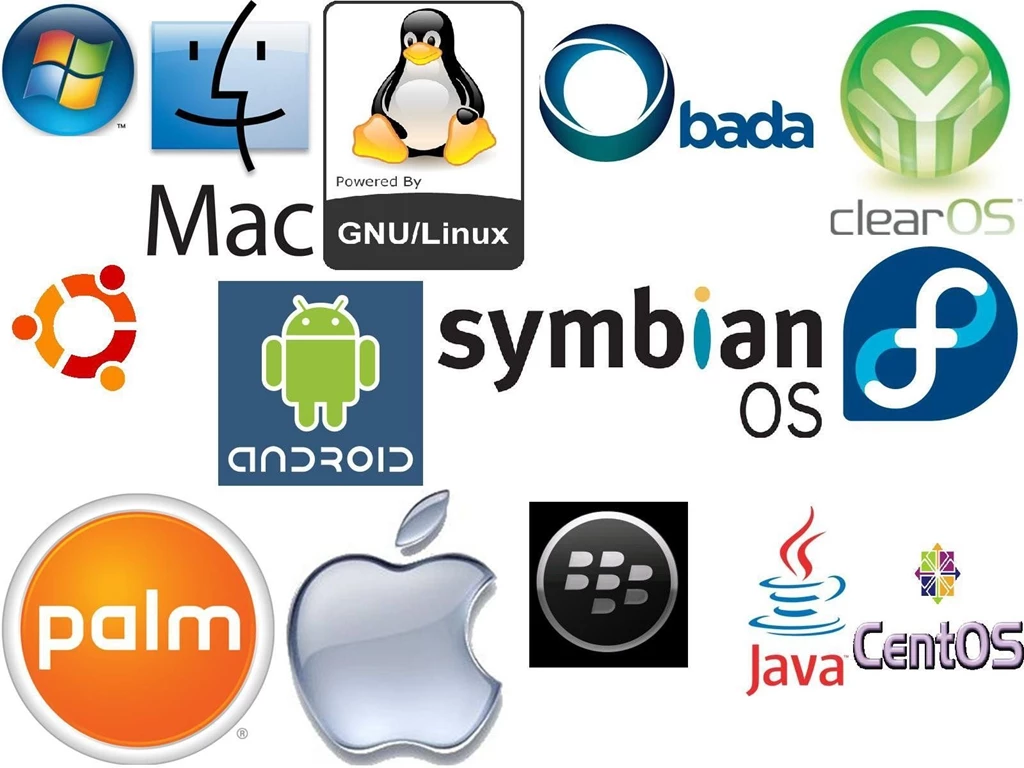 The Operating System .
