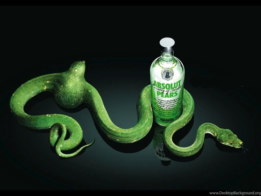 Green_snake_love_vodka free hd wallpapers for desktop.jpg