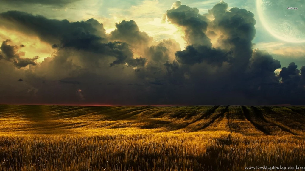 Free Download Mini iPad HD Wallpapers (99)
