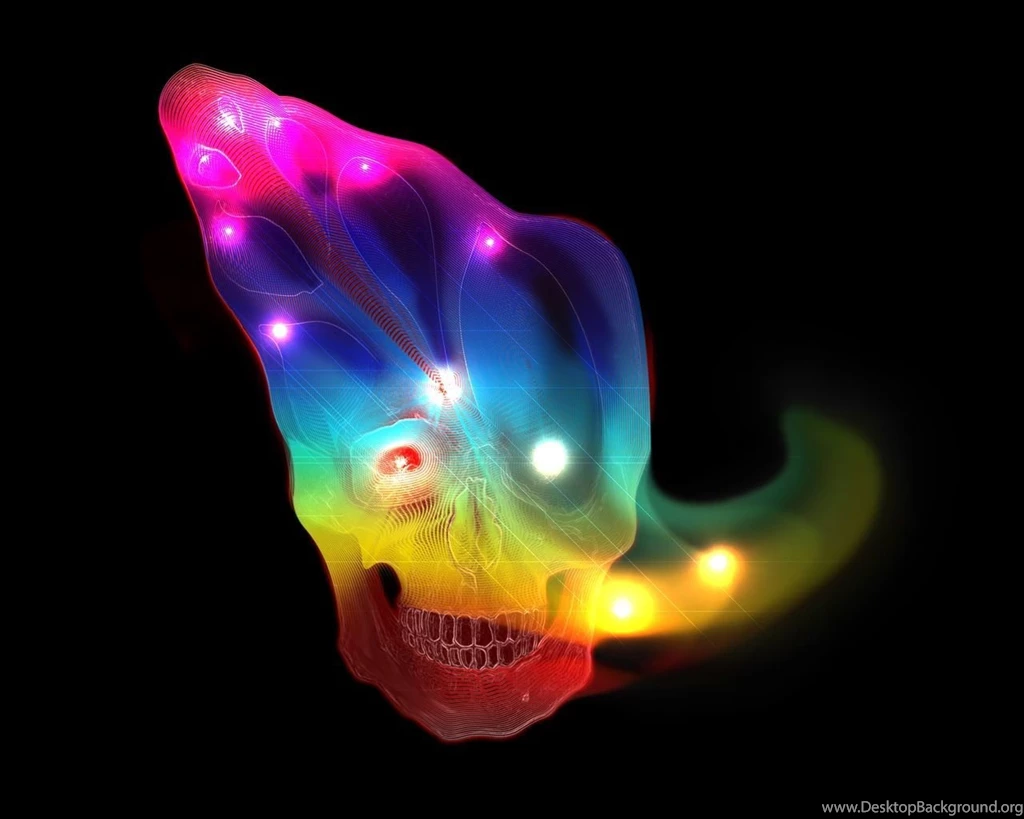 The Shell Skull – 62Stockton *