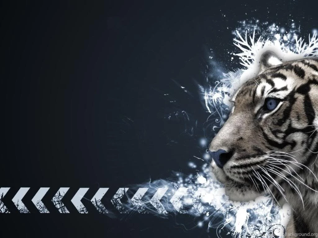 Tiger Hd Wallpapers ›› Page 0