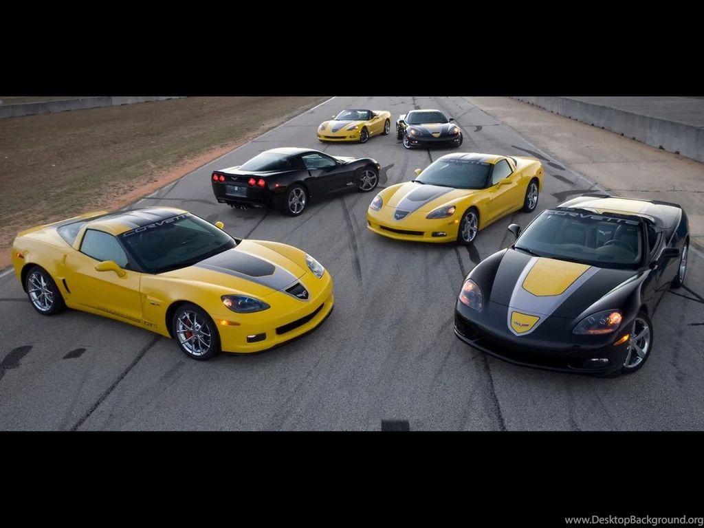 2009 Chevrolet Corvette GT1 Championship Edition Group ...