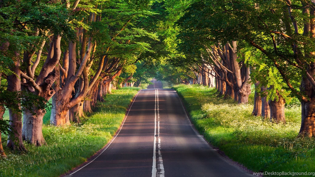 4K Wallpapers 35 HD Wallpapers