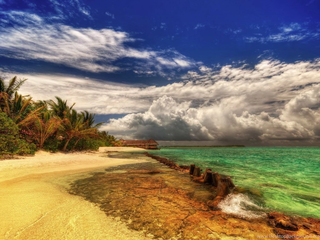 BEAUTIFUL SUMMER WALLPAPER   (