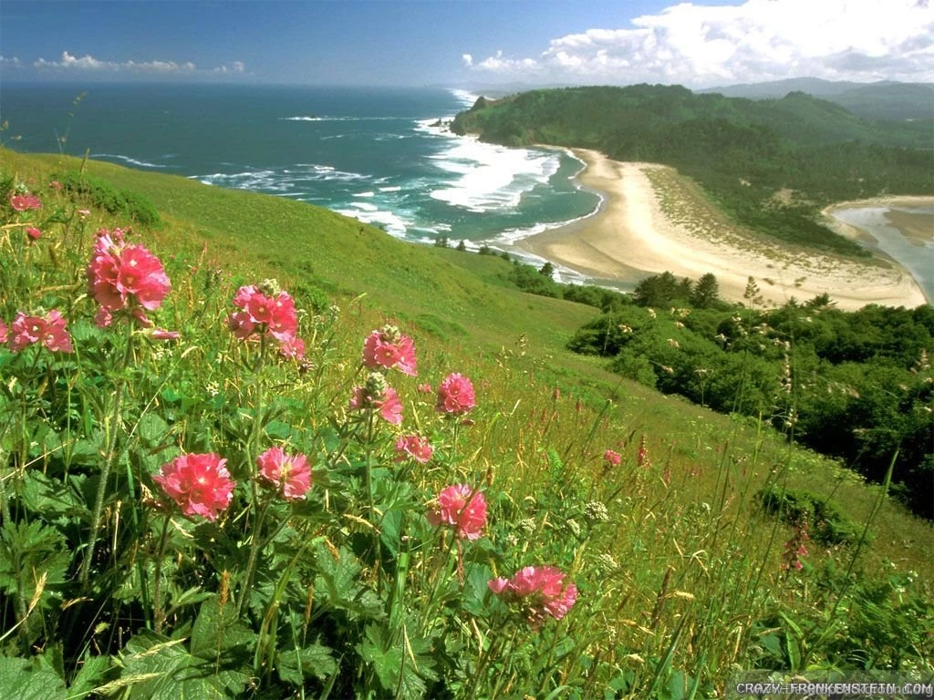 Beautiful Summer Wallpapers 2 Crazy Frankenstein