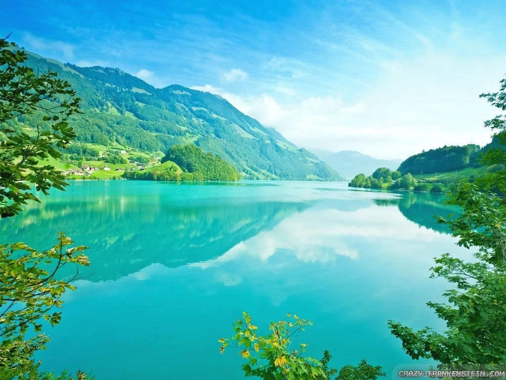 Summer Nature Wallpapers   Crazy Frankenstein