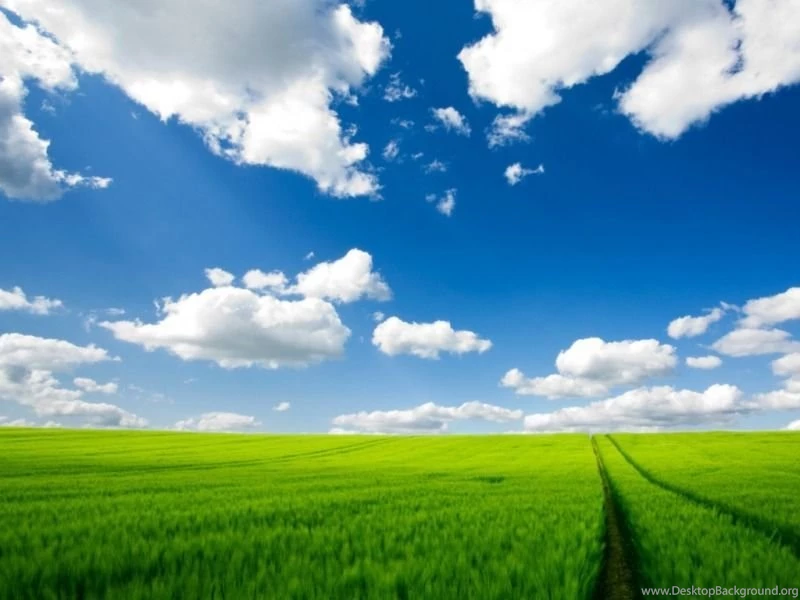 Summer Season Wallpapers