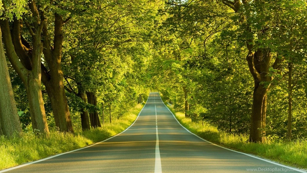 Download Beautiful Summer Scenery Wallpapers