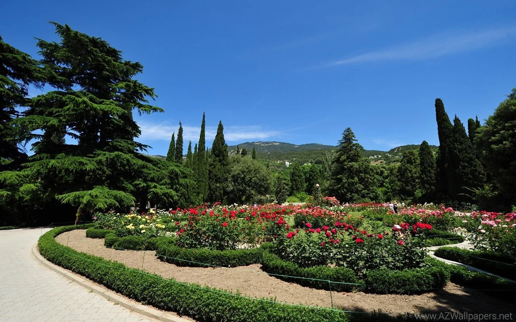 Free Download Wallpapers FWG016 – Wallpaperjosh