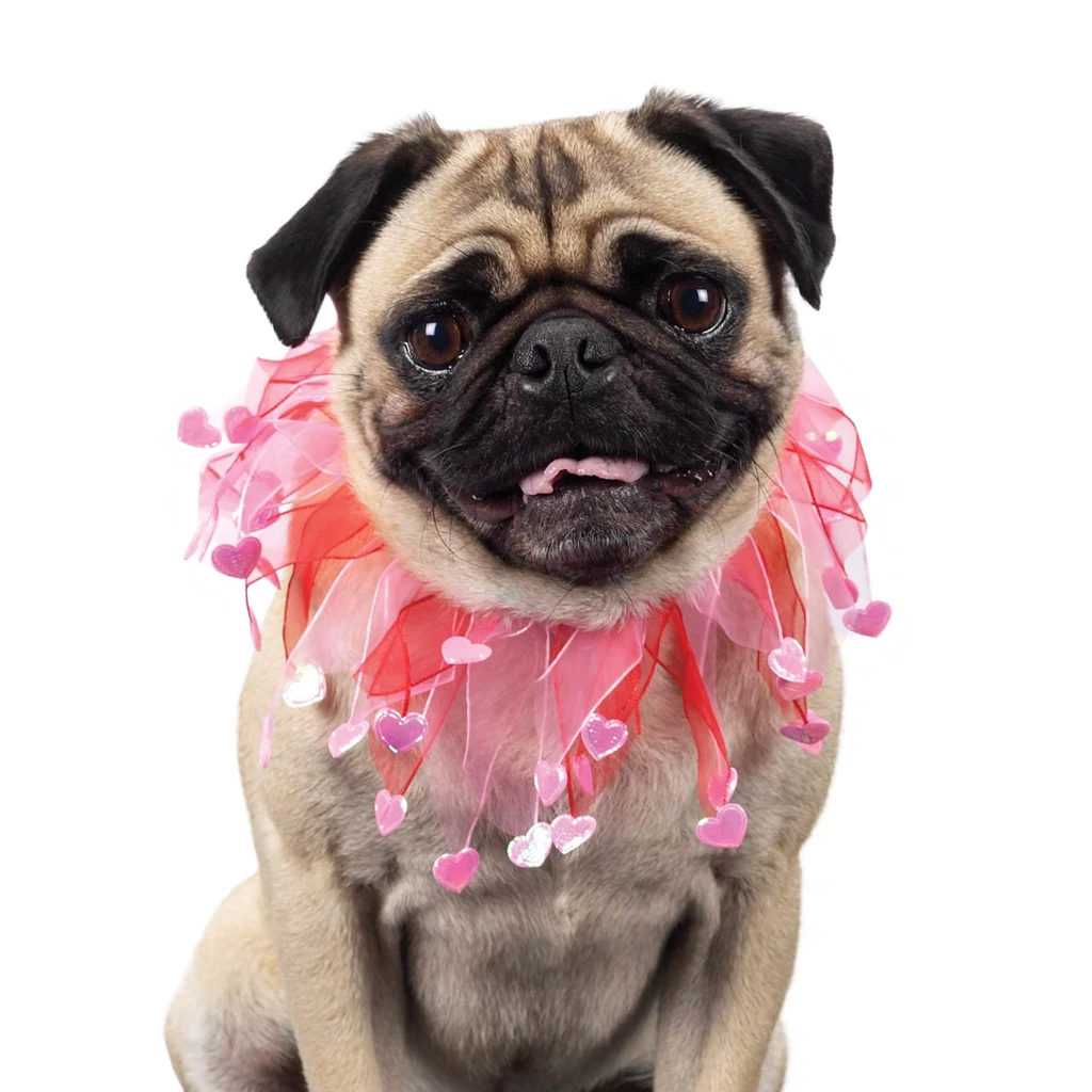 Pug Dog And Cute Heart Photo And Wallpaper. Beautiful Pug Dog And ...
