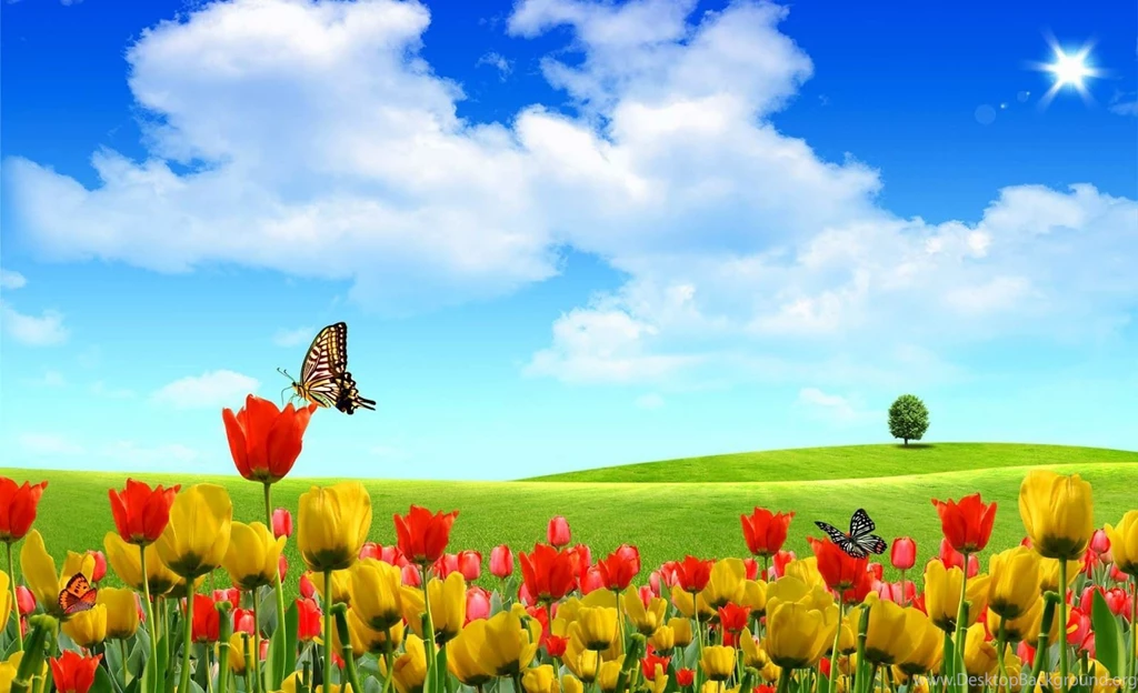 Indian Wallpapers Hub: Spring Season 2014 Wallpapers HD Free Download