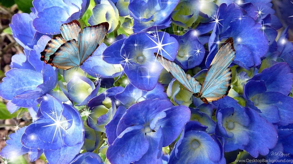 Butterflies desktop wallpaper.jpg