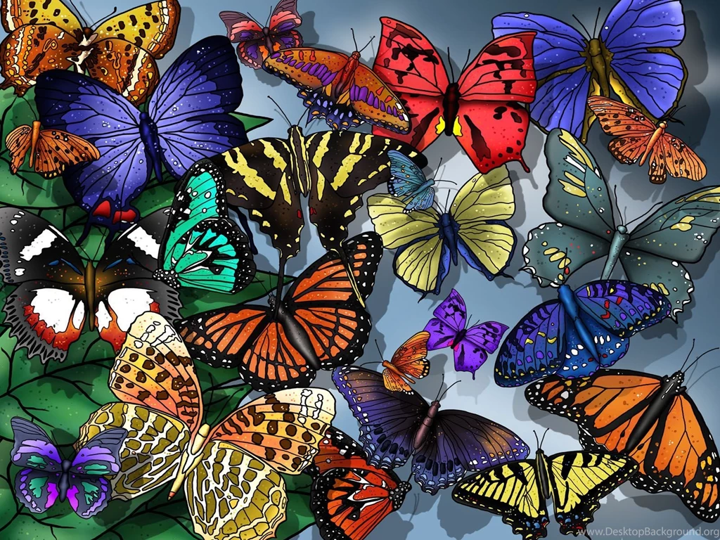 Download Many Butterflies Free World Wallpapers 1600x1200