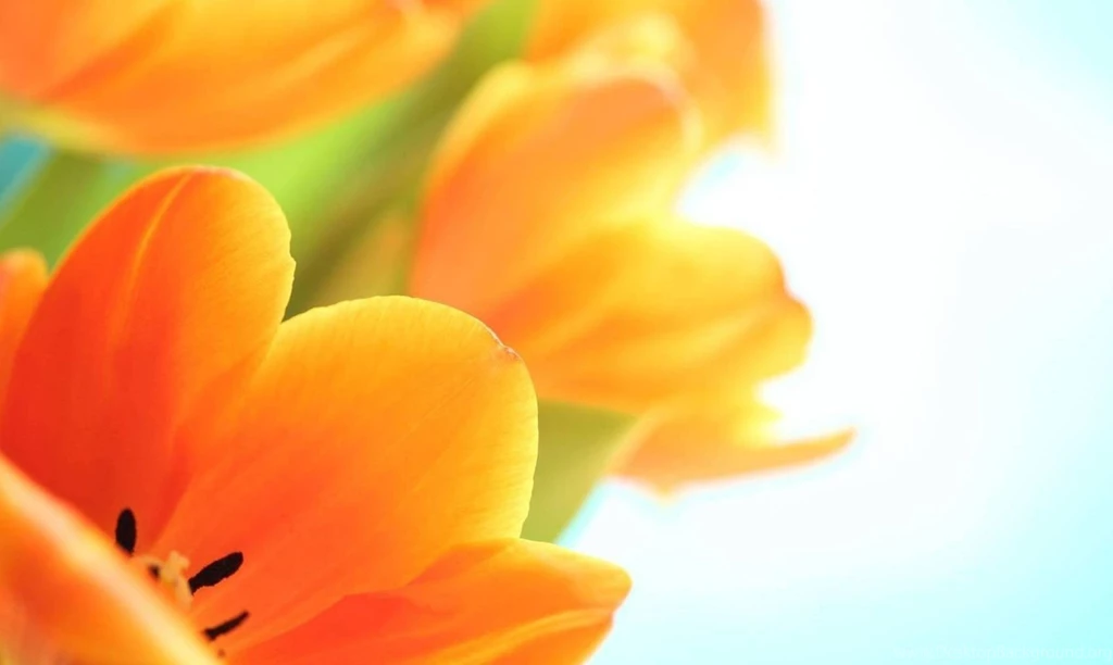 Nature Wallpapers, Hd Desktop Images, Natural, Sky, Landscape ...