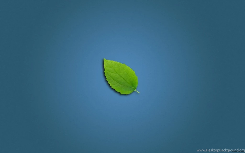 Clean Leaf Wallpapers 10018